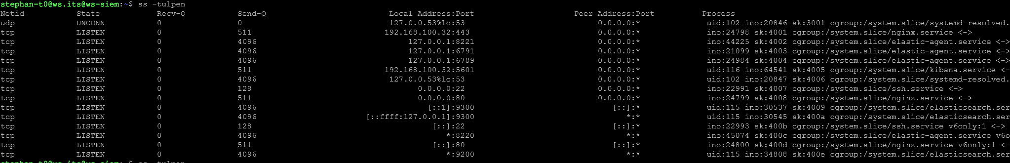 Elastic SIEM PFSense anbinden